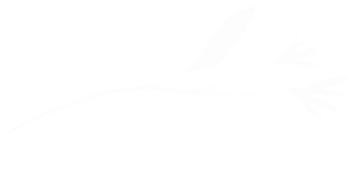 aviastud.io