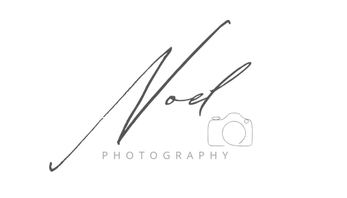 Noel Photography