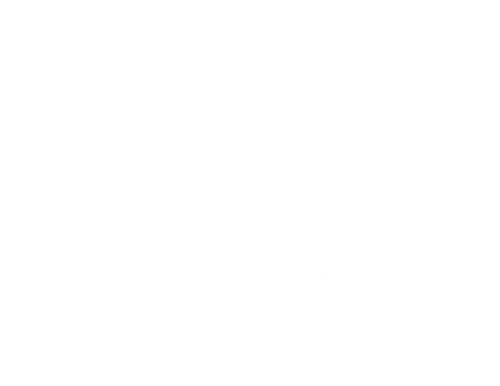 The Southern Pearl Photography