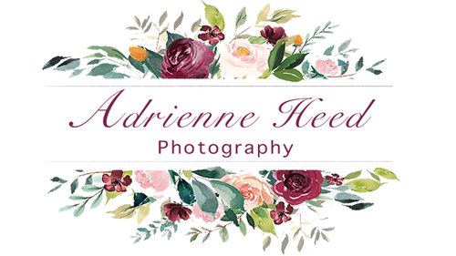 Adrienne Heed Photography