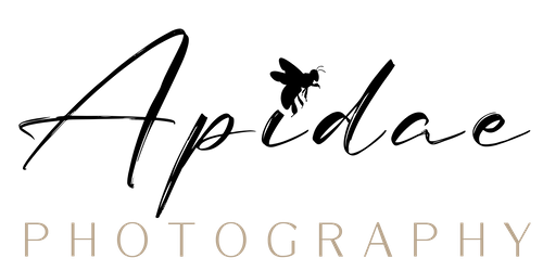 Apidae Photography