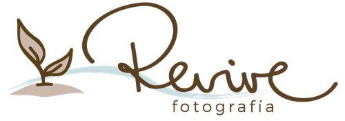 Revive Fotografía