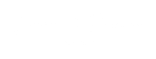Jorge L. Fonseca N.