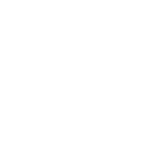 Nicklas Media