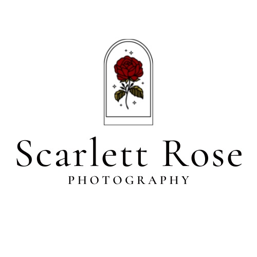 Scarlet Rose PHOTOGRAPHY