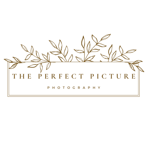 The Perfect Picture