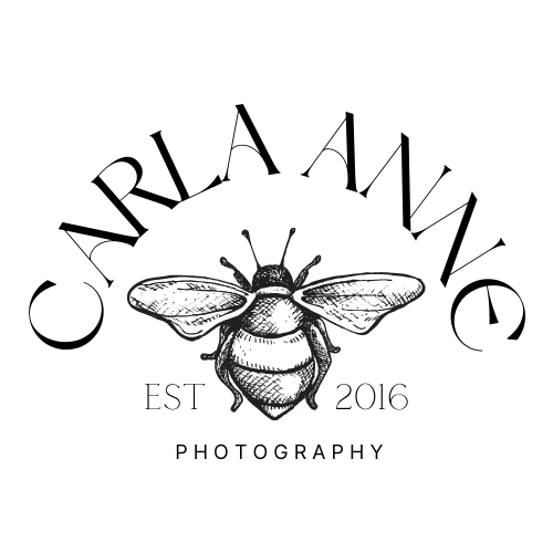 site-logo