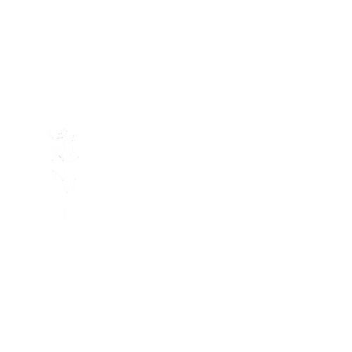 The Rose Lens.