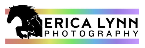 Erica Lynn Photography