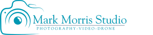 site-logo