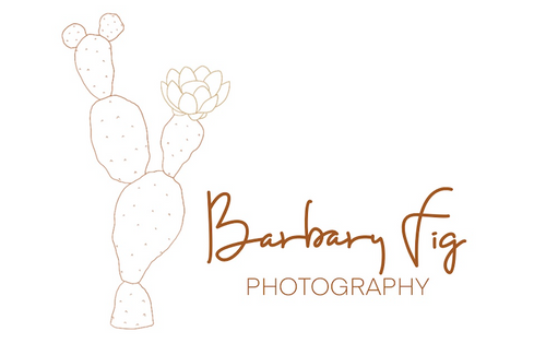 Barbary Fig Photography