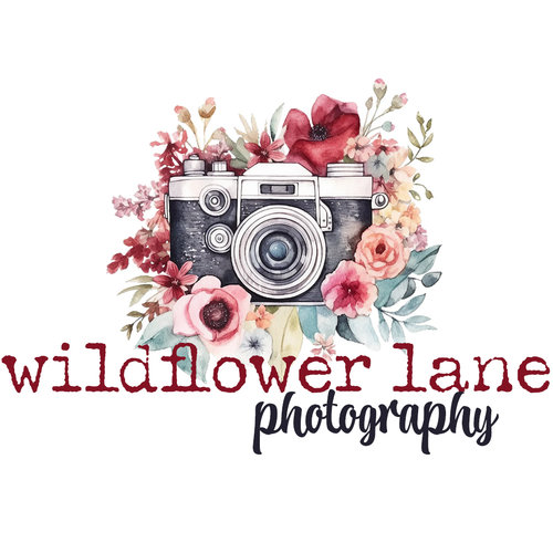 Wildflower Lane Photography