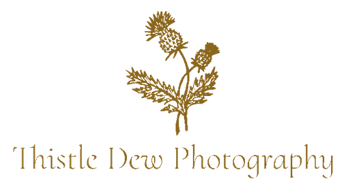 Thistle Dew Photography