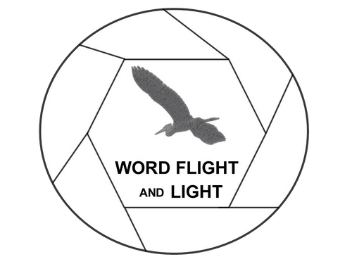 site-logo