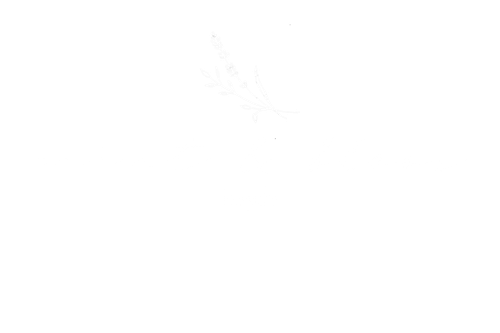 Mint & Bloos Fotografie