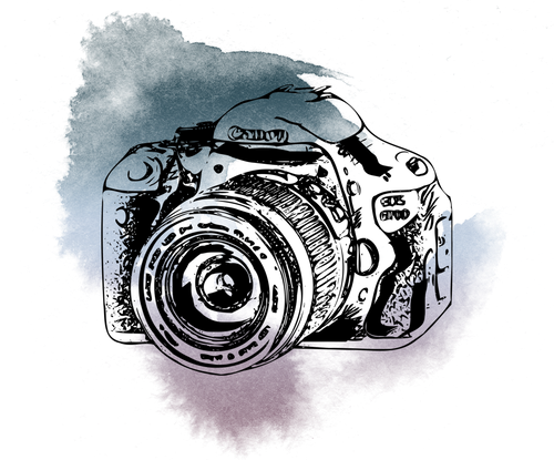 Sandra Hambly Photography