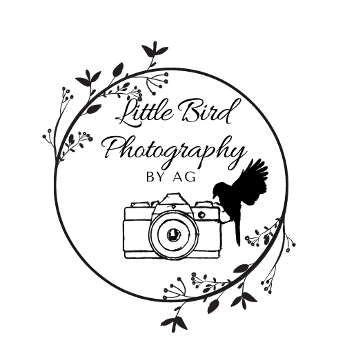 Little Bird Photography by AG