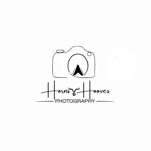 Horns & Hooves Photography