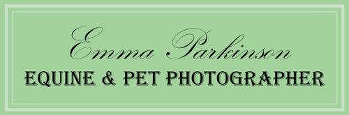Emma Parkinson Equine and Pet Photographer
