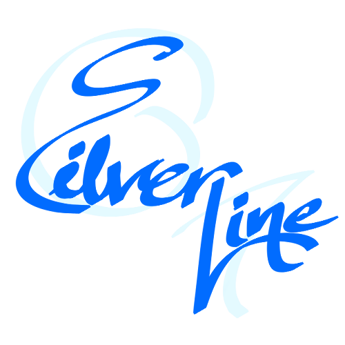 Silverline's Portfolio