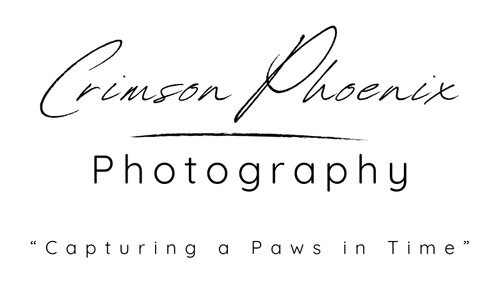 Crimson Phoenix Photography