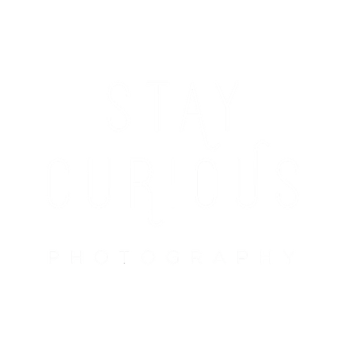 Stay Curious Photography