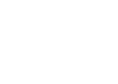 Tide and Pine Studios
