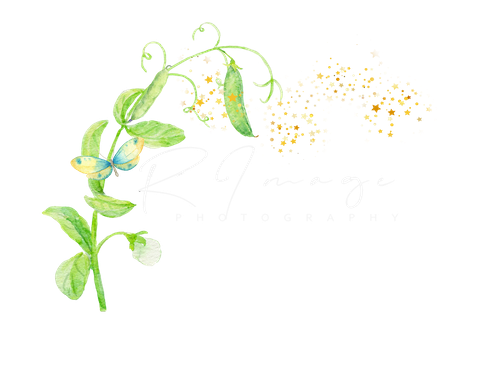 R Image Photography