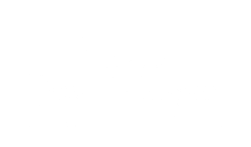 Pam Haynes Photography