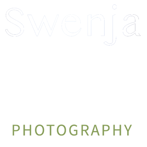 site-logo