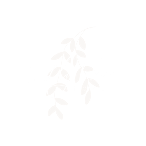Elly Rose Photography