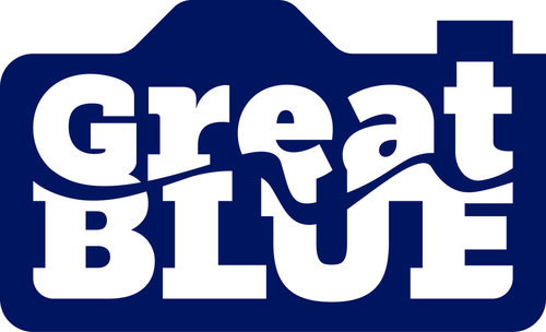 Great Blue Photography