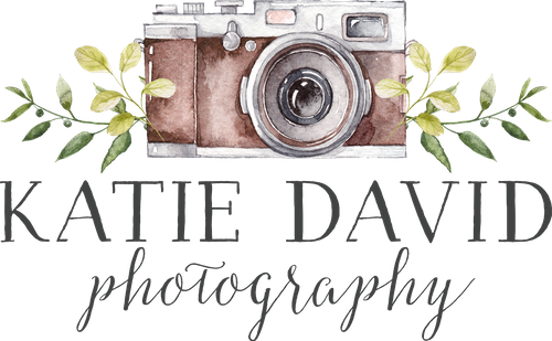 Katie David Photography