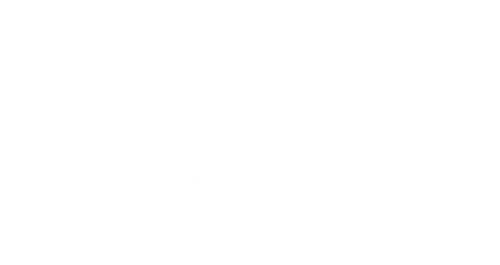 Allison Michele Photography
