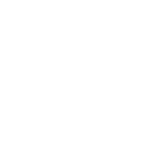 Denise Rose Photography