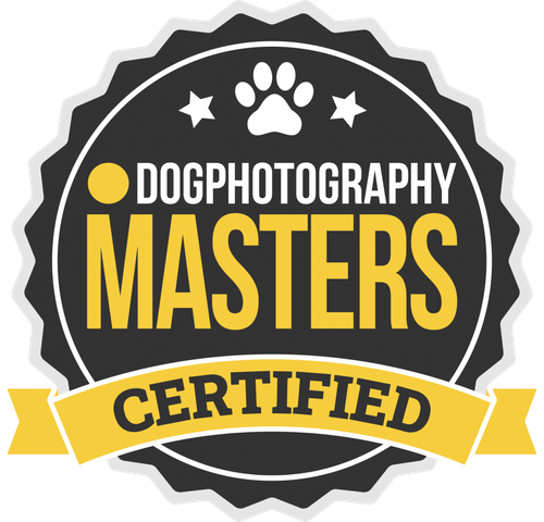 Sara Stuani Pet Photography