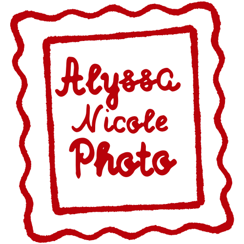 alyssa nicole photography