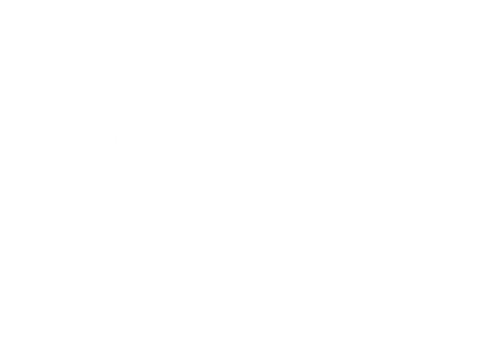 Velocity in Focus