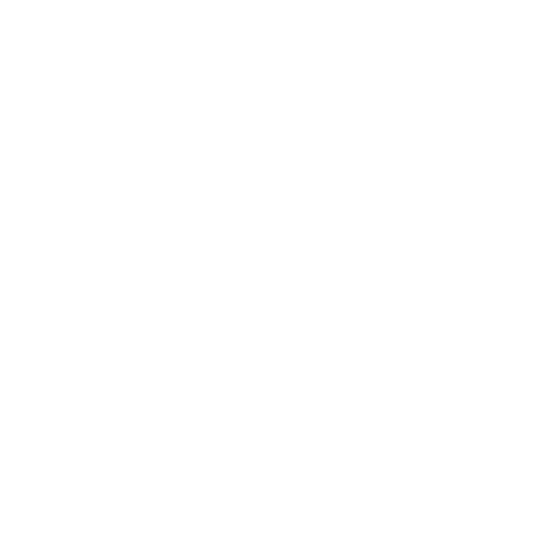 Visions By Graciela