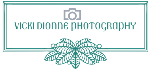 Vicki Dionne photography