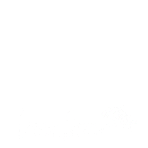 Lewis Johnson Photography