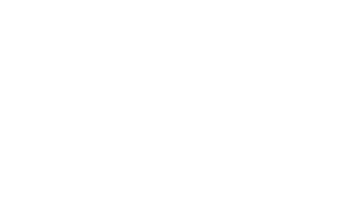 Zahra Ali Photography