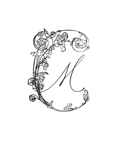 C. Marilyn Photography