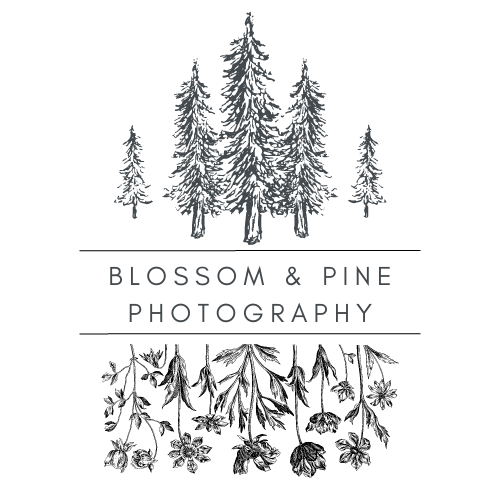 Blossom & Pine Photography