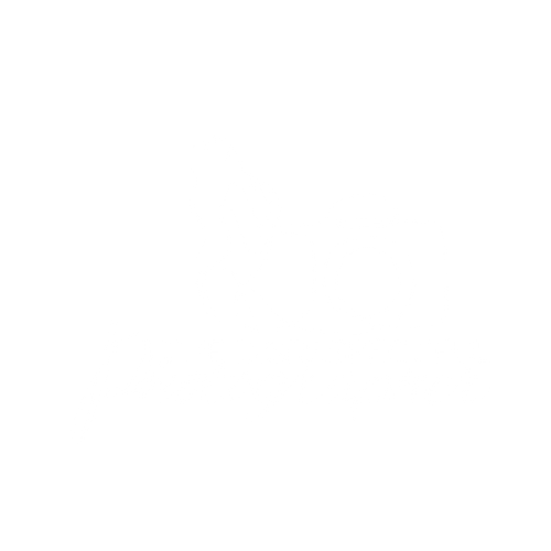 The Disrespectful Photographer