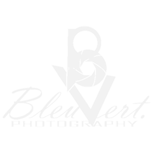 Bleuvert Photography
