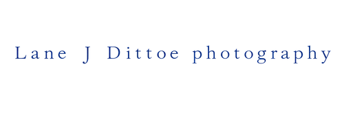 Lane Dittoe weddings