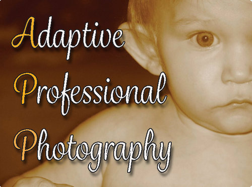 Adaptive Professional Photography