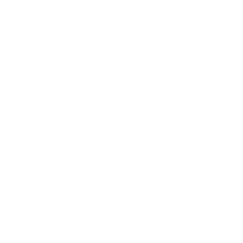 Blue Onion Photography