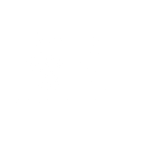Rooted Photo and Film
